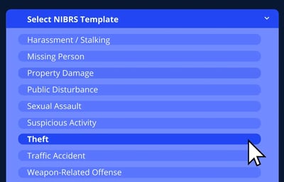 SELECT NIBRS TEMPLATE